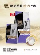 爵加新品幼貓精選上市！