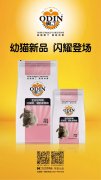 奧丁精品幼貓糧閃耀登場(chǎng)?。?！